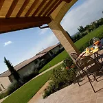 Le Rondini Di Francesco Di Assisi * Cannara