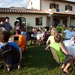 Le Rondini Di Francesco Di Assisi