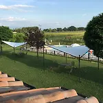Le Rondini Di Francesco Di Assisi