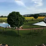 Le Rondini Di Francesco Di Assisi *