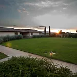 Le Rondini Di Francesco Di Assisi * Cannara
