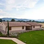Le Rondini Di Francesco Di Assisi *