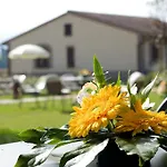 Le Rondini Di Francesco Di Assisi * Cannara