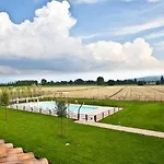 Le Rondini Di Francesco Di Assisi
