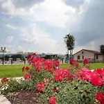Le Rondini Di Francesco Di Assisi * Cannara