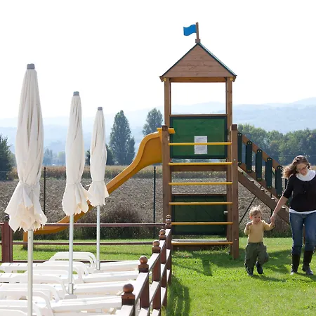 Le Rondini Di Francesco Di Assisi