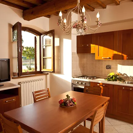 Le Rondini Di Francesco Di Assisi