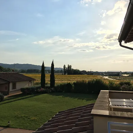 Le Rondini Di Francesco Di Assisi Cannara