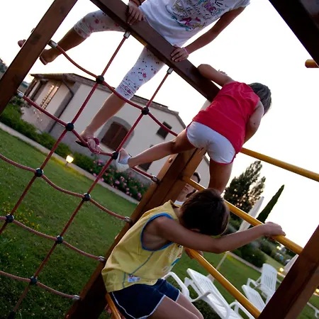 Le Rondini Di Francesco Di Assisi