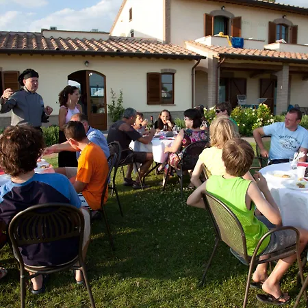 Le Rondini Di Francesco Di Assisi