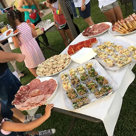 Le Rondini Di Francesco Di Assisi *