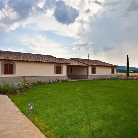 Le Rondini Di Francesco Di Assisi Cannara