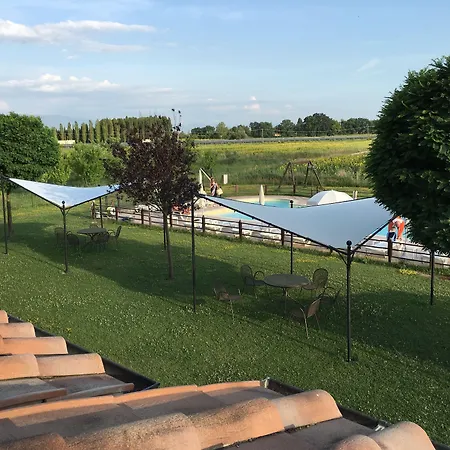 Le Rondini Di Francesco Di Assisi