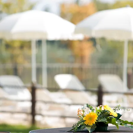 Le Rondini Di Francesco Di Assisi Cannara