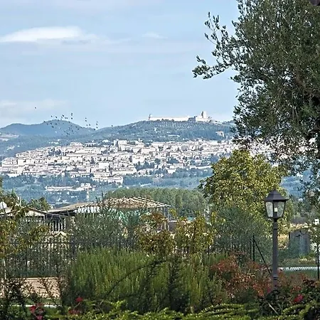 Le Rondini Di Francesco Di Assisi Cannara