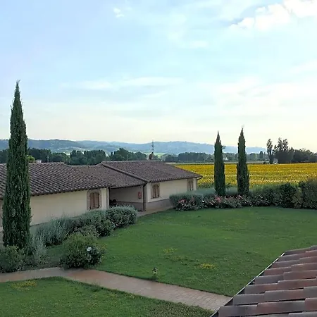 Le Rondini Di Francesco Di Assisi