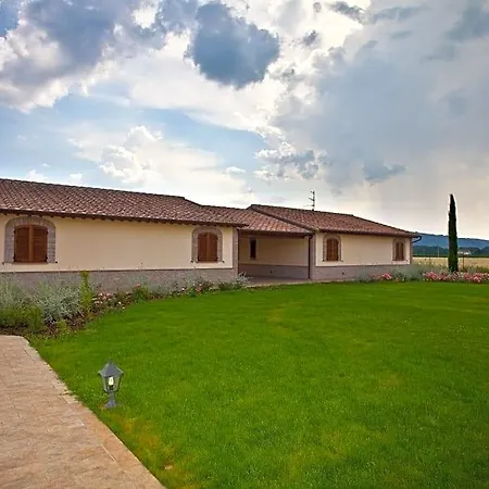 Le Rondini Di Francesco Di Assisi