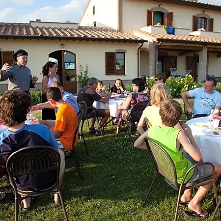 Le Rondini Di Francesco Di Assisi