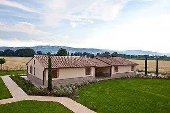 Le Rondini Di Francesco Di Assisi *