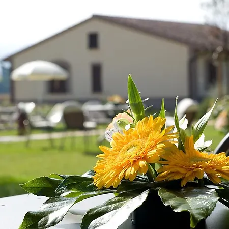 Le Rondini Di Francesco Di Assisi * Cannara