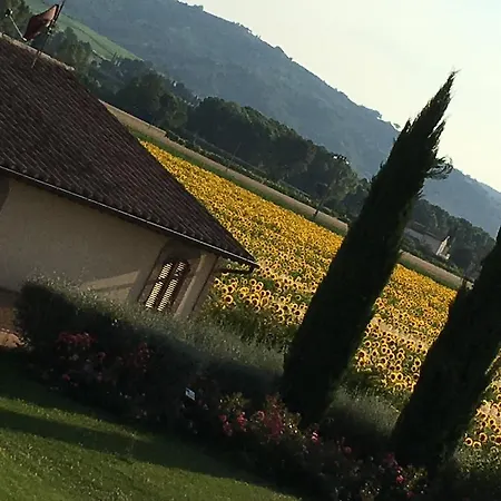 Le Rondini Di Francesco Di Assisi Farm stay *