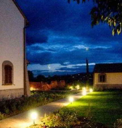 Le Rondini Di Francesco Di Assisi *