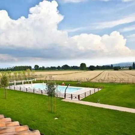 Le Rondini Di Francesco Di Assisi