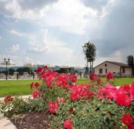 Le Rondini Di Francesco Di Assisi * Cannara